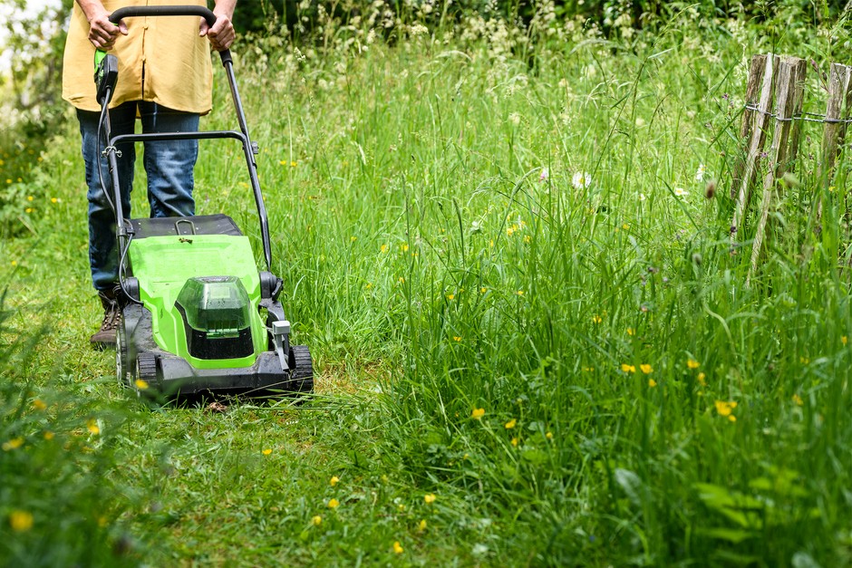 Mowing a path through wild lawn Mowing a path through wild lawn