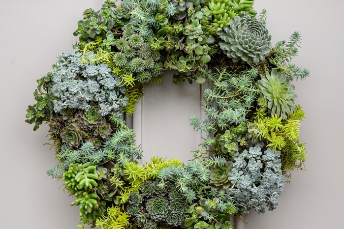 How to make a living wreath How to make a living wreath