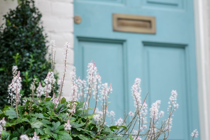Tiarella with pale turquoise front door. Jason Ingram Tiarella with pale turquoise front door. Jason Ingram