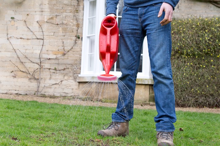 Give your lawn a spring boost - watering your lawn Give your lawn a spring boost - watering your lawn