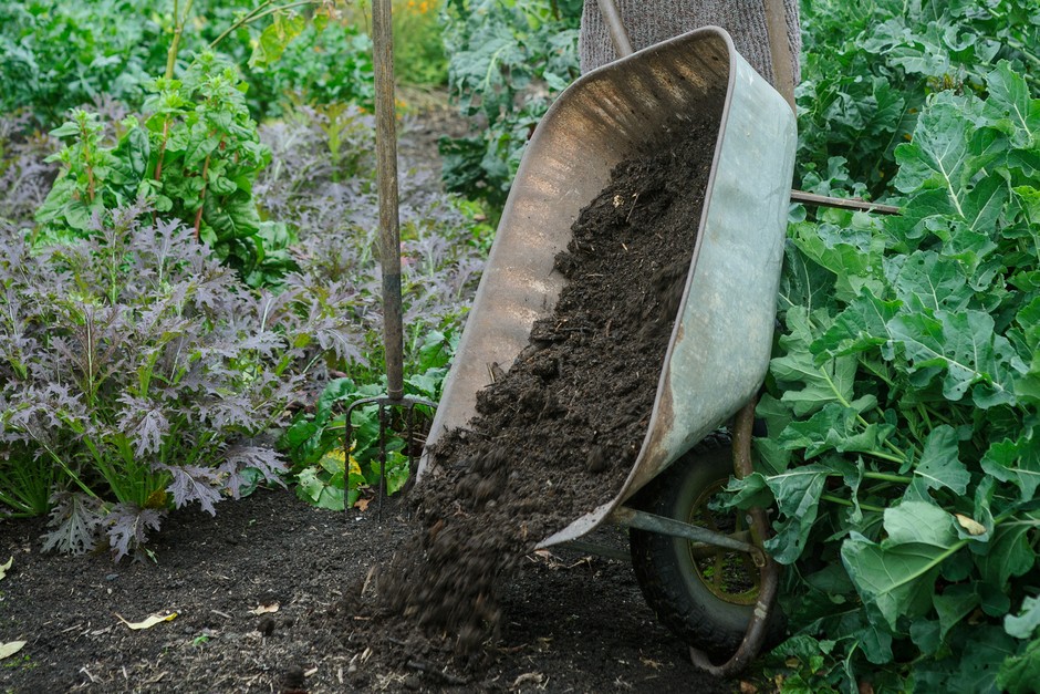 Mulches and mulching Mulches and mulching