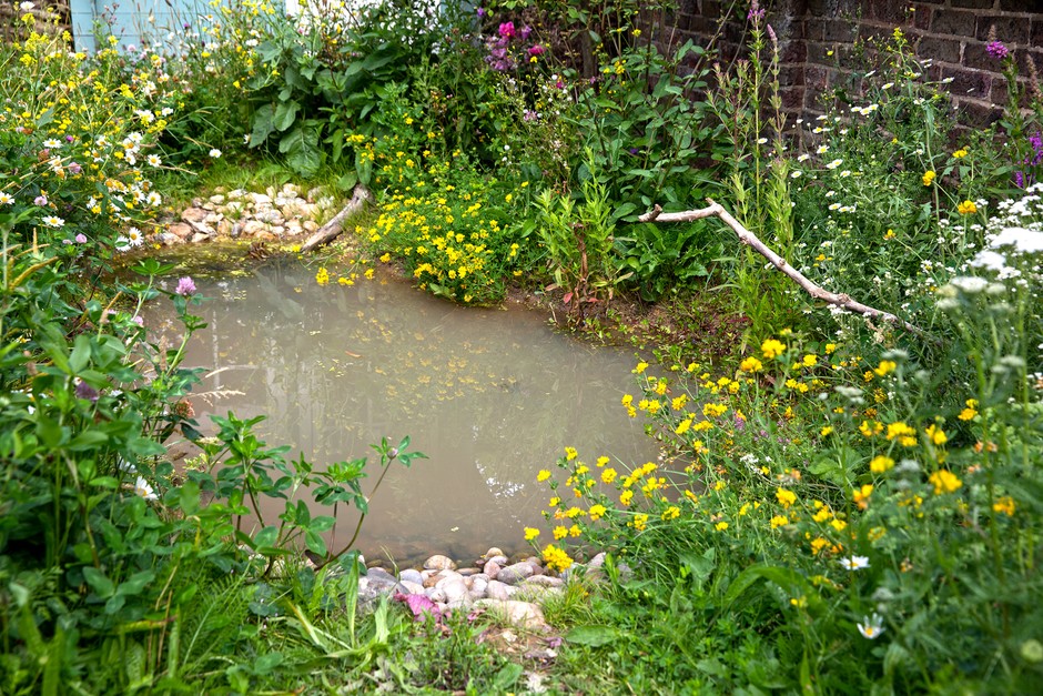 Dig a pond Dig a pond