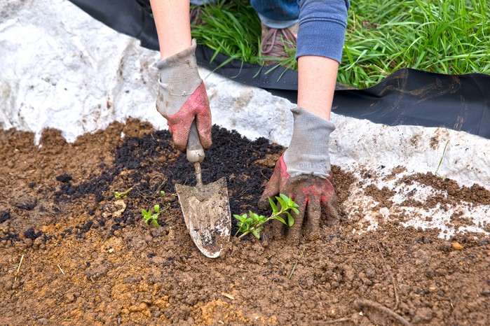 How to make a wildlife pond - planting marginals directly into the subsoil How to make a wildlife pond - planting marginals directly into the subsoil