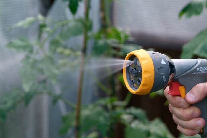 Misting plants in a greenhouse to increase humidity Misting plants in a greenhouse to increase humidity
