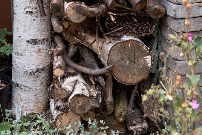Make a log pile Make a log pile