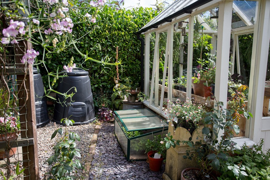 A greenhouse in a small garden
