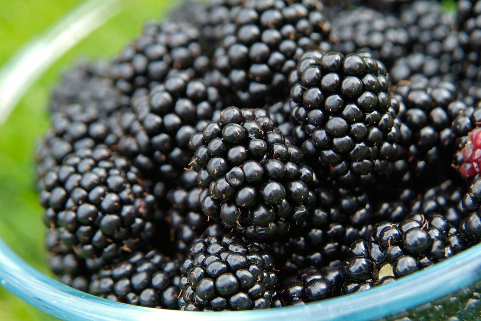 Blackberries