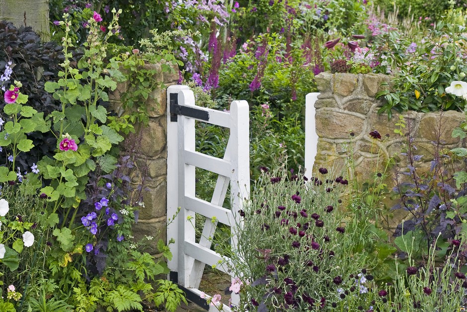 Nine front garden ideas Nine front garden ideas