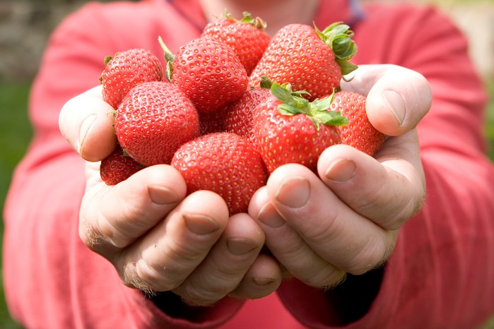 Strawberries Strawberries
