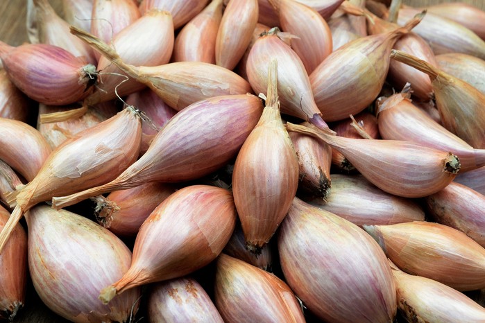 Shallots Shallots