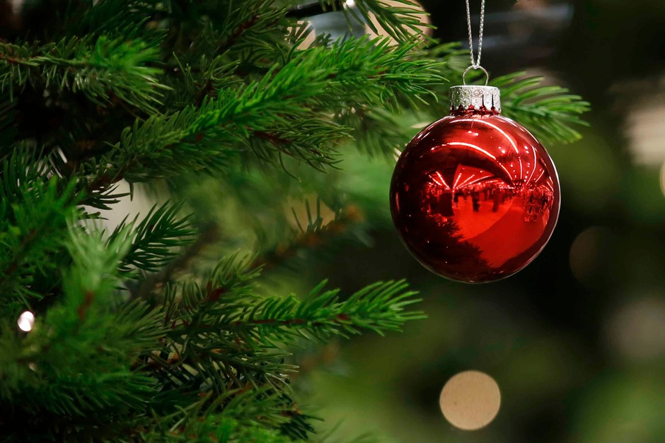 A Christmas bauble hangs from a tree