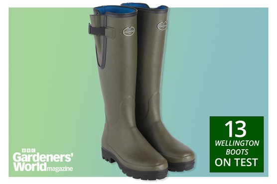 The best wellington boots on test BBC GardenersWorld magazine