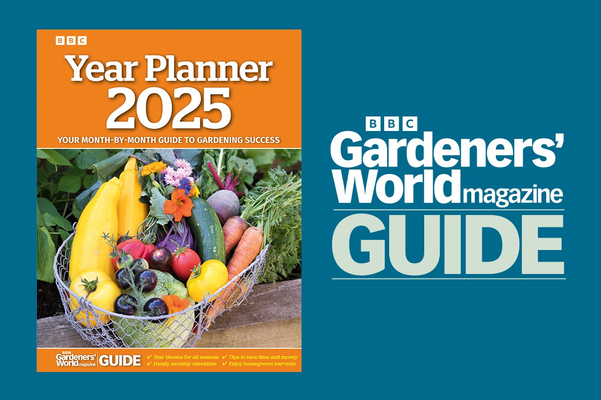 year-planner-2025-1200-800 Year-Planner-2025