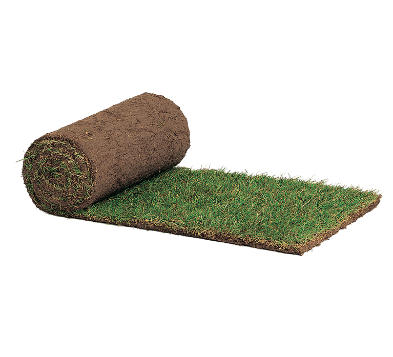 Roll of lawn turf Roll of lawn turf