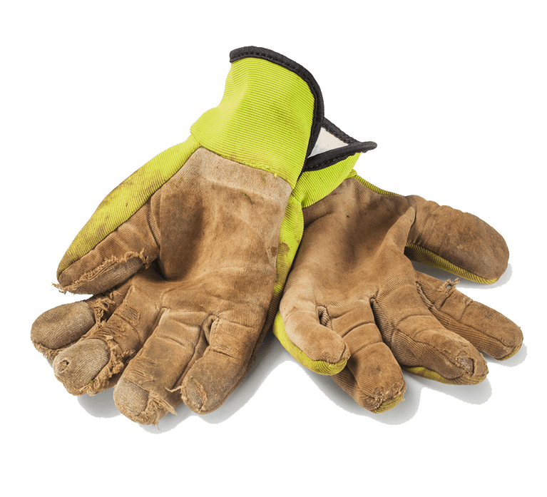 CUT-OUT-1024X1024-garden-gloves-GettyImages-500840488